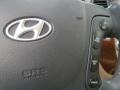 2009 Powder White Pearl Hyundai Santa Fe SE  photo #18