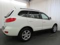 2009 Powder White Pearl Hyundai Santa Fe SE  photo #26