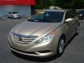 Camel Pearl - Sonata GLS Photo No. 1
