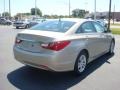 Camel Pearl - Sonata GLS Photo No. 5