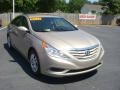 Camel Pearl - Sonata GLS Photo No. 6