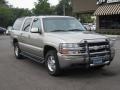 2001 Light Pewter Metallic Chevrolet Suburban 1500 LT  photo #4