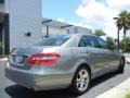 Palladium Silver Metallic - E 550 Sedan Photo No. 6