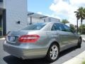 2010 Palladium Silver Metallic Mercedes-Benz E 550 Sedan  photo #6