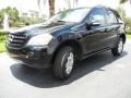 Black 2006 Mercedes-Benz ML 350 4Matic Exterior