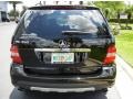 Black - ML 350 4Matic Photo No. 7