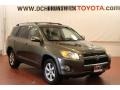 Pyrite Mica 2009 Toyota RAV4 Limited 4WD