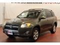 2009 Pyrite Mica Toyota RAV4 Limited 4WD  photo #4