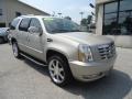 2007 Gold Mist Cadillac Escalade AWD  photo #4