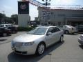 Ingot Silver Metallic - MKZ Hybrid Photo No. 54