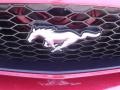 2007 Redfire Metallic Ford Mustang V6 Premium Coupe  photo #21