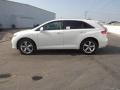 Blizzard White Pearl - Venza XLE Photo No. 4