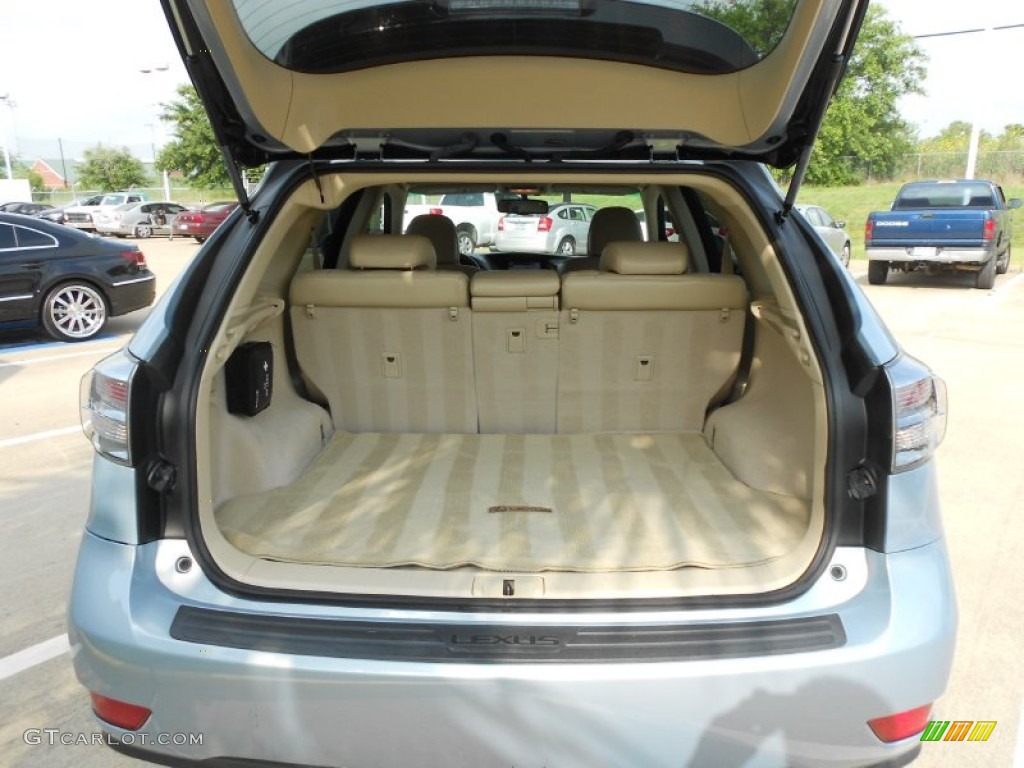 2010 Lexus RX 350 Trunk Photo #66455292