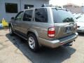 Polished Pewter Metallic - Pathfinder LE Platinum 4x4 Photo No. 3