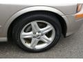 Light Parchment Gold Metallic - LS V6 Photo No. 25