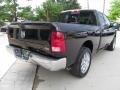 2010 Brilliant Black Crystal Pearl Dodge Ram 1500 SLT Quad Cab  photo #6