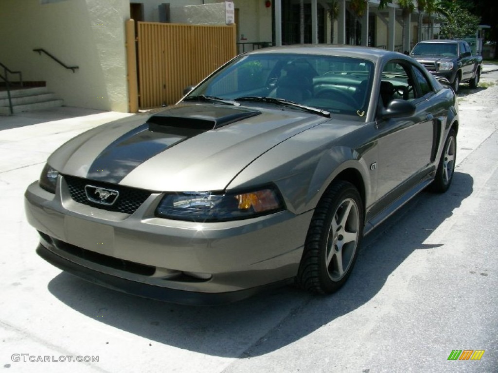 2001 Mustang GT Coupe - Mineral Grey Metallic / Dark Charcoal photo #1