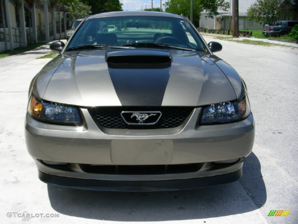 Mineral Grey Metallic 2001 Ford Mustang GT Coupe Exterior Photo #66468216