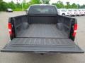 2005 Black Ford F150 XLT Regular Cab  photo #16
