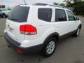 2009 Clear White Kia Borrego LX V6  photo #4