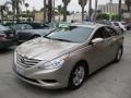 Camel Pearl - Sonata GLS Photo No. 5