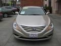 Camel Pearl - Sonata GLS Photo No. 6