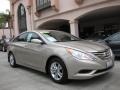 Camel Pearl - Sonata GLS Photo No. 24