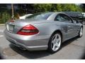 Palladium Silver Metallic - SL 550 Roadster Photo No. 6