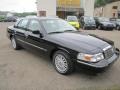 Black Clearcoat - Grand Marquis GS Photo No. 14