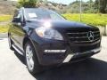 Black - ML 350 4Matic Photo No. 1