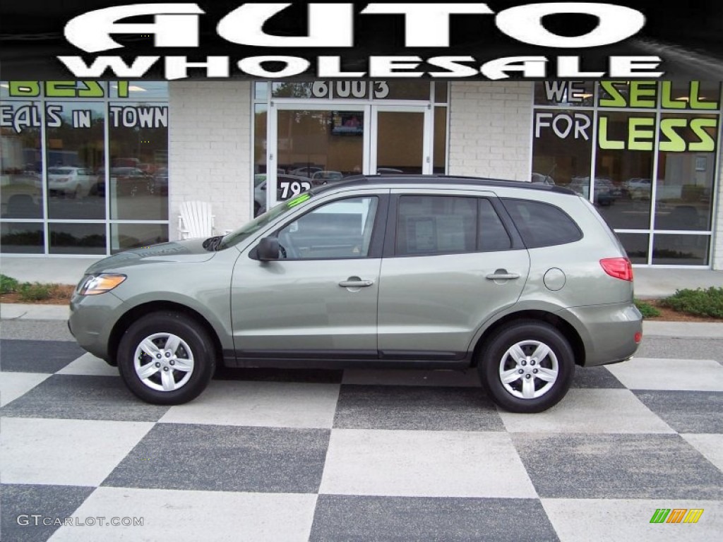 2009 Santa Fe GLS - Natural Khaki / Beige photo #1