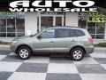 2009 Natural Khaki Hyundai Santa Fe GLS  photo #1