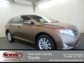 2010 Golden Umber Mica Toyota Venza I4  photo #1