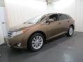 2010 Golden Umber Mica Toyota Venza I4  photo #3