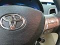 2010 Golden Umber Mica Toyota Venza I4  photo #19