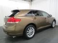 2010 Golden Umber Mica Toyota Venza I4  photo #27