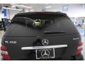 Black - ML 350 4Matic Photo No. 22
