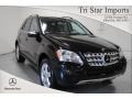 Obsidian Black Metallic - ML 350 4Matic Photo No. 1