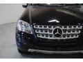 Obsidian Black Metallic - ML 350 4Matic Photo No. 3