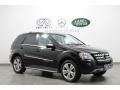 Black - ML 350 4Matic Photo No. 1