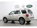 2008 Light Sage Metallic Ford Escape Limited 4WD  photo #5