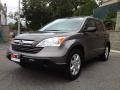 2009 Urban Titanium Metallic Honda CR-V EX 4WD  photo #4