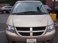 Linen Gold Metallic - Grand Caravan SXT Photo No. 8