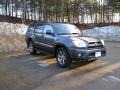 2006 Galactic Gray Mica Toyota 4Runner Limited 4x4  photo #1