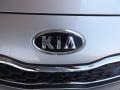 2013 Bright Silver Kia Rio EX Sedan  photo #21