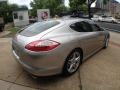 Platinum Silver Metallic - Panamera 4S Photo No. 5