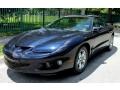 Navy Blue Metallic 2002 Pontiac Firebird Coupe Exterior