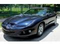 2002 Navy Blue Metallic Pontiac Firebird Coupe  photo #14