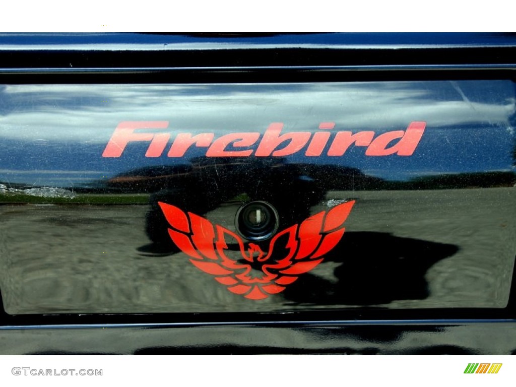 2002 Firebird Coupe - Navy Blue Metallic / Ebony Black photo #60