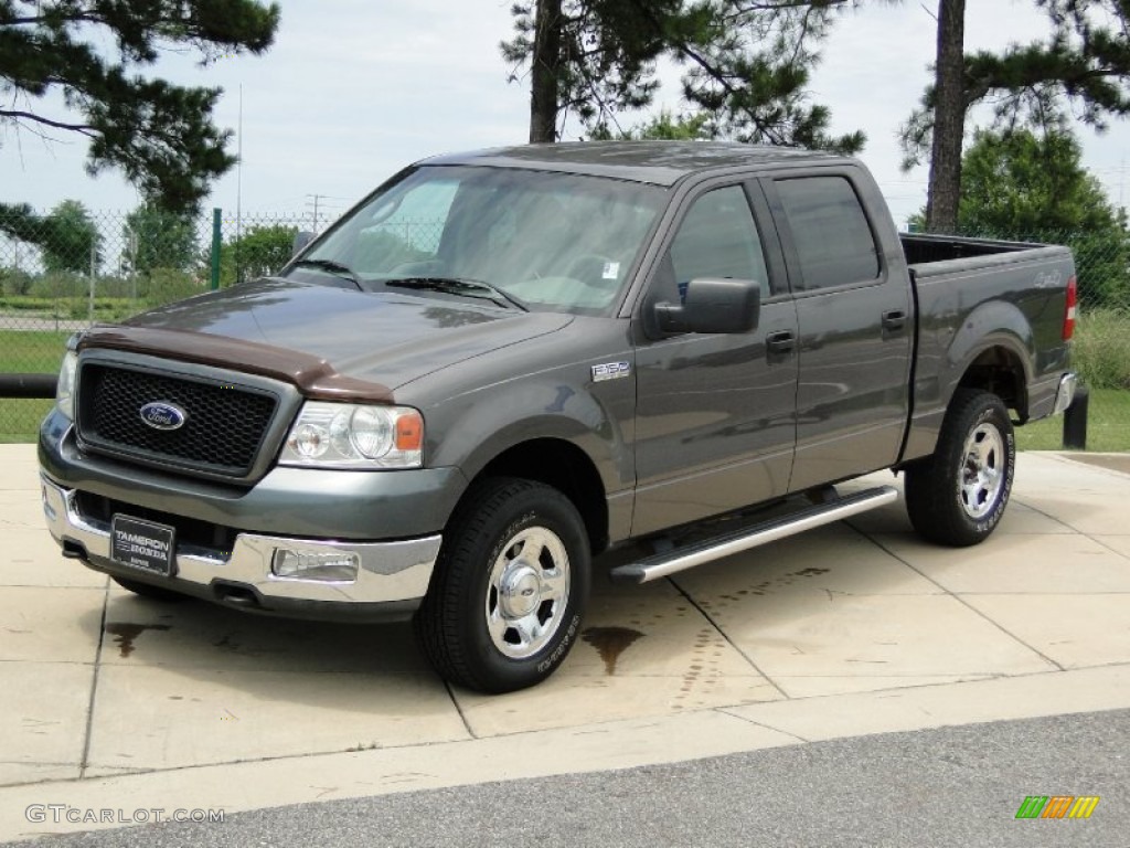 2004 F150 XLT SuperCrew 4x4 - Dark Shadow Grey Metallic / Dark Flint photo #10